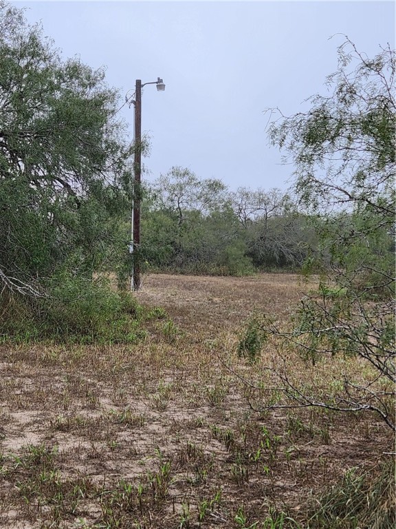 1888 County Road 440 Alice, TX 78332 - Photo 13 of 32 a view of a with green field