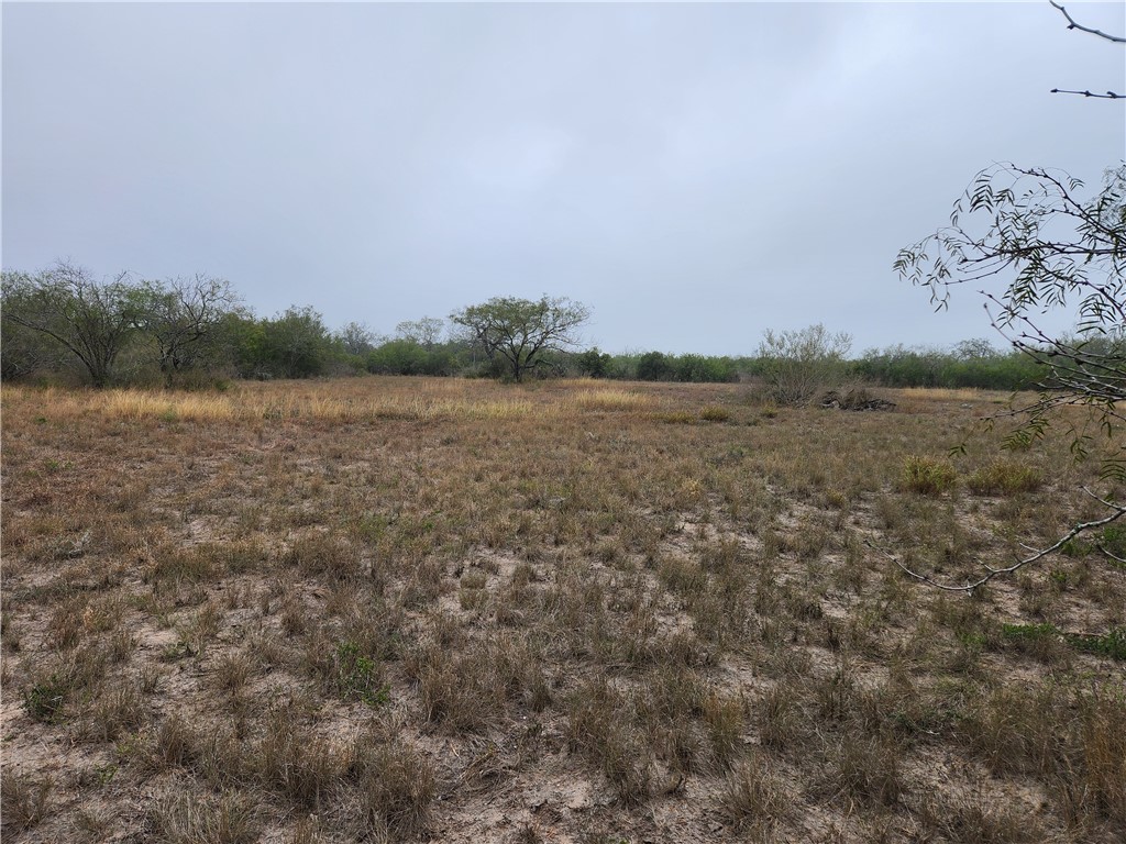 1888 County Road 440 Alice, TX 78332 - Photo 28 of 32 a view of a field with trees in background