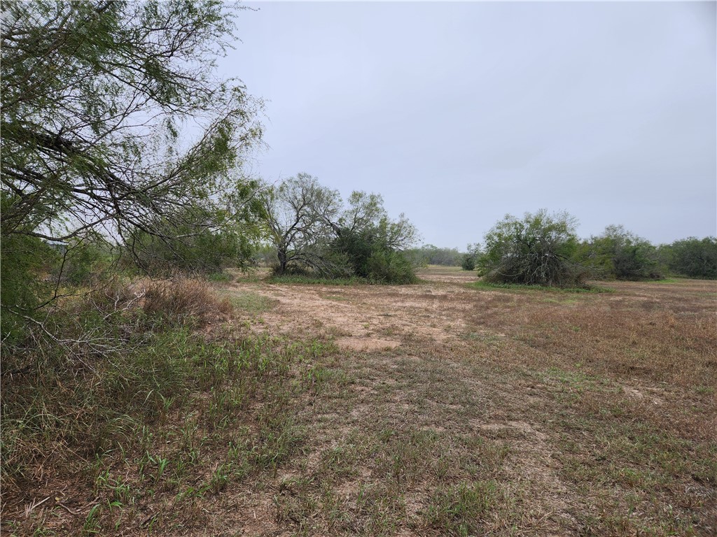 1888 County Road 440 Alice, TX 78332 - Photo 30 of 32 a view of a field with an trees