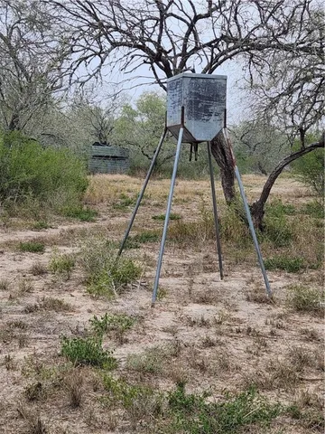 a view of a field with trees in background