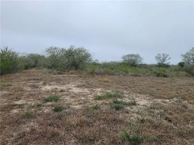 a view of a field with an trees