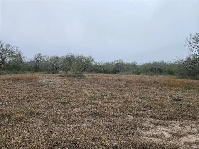 a view of an outdoor space and a yard