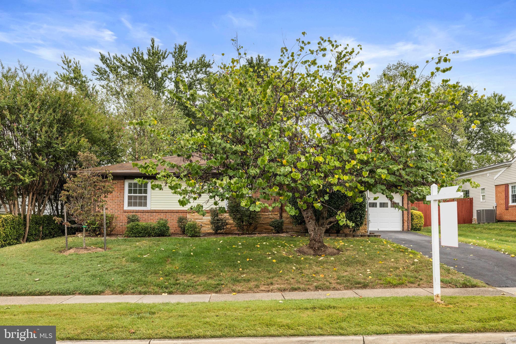 210 West Beech Road Sterling, VA 20164 - Photo 3 of 33