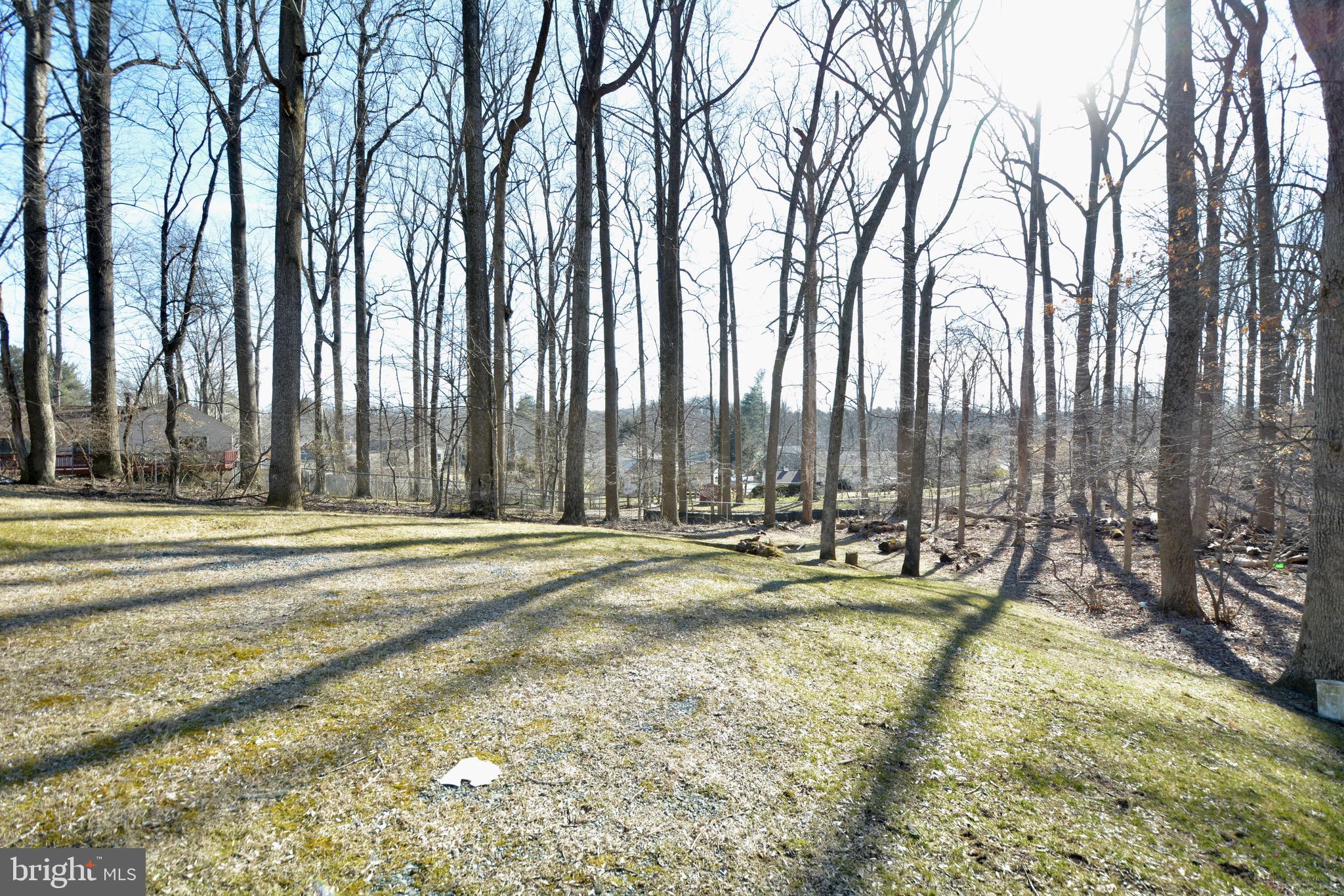 17707 Cashell Road Rockville, MD 20853 - Photo 59 of 64