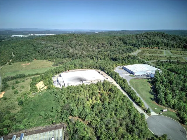 view of a city with lush green forest