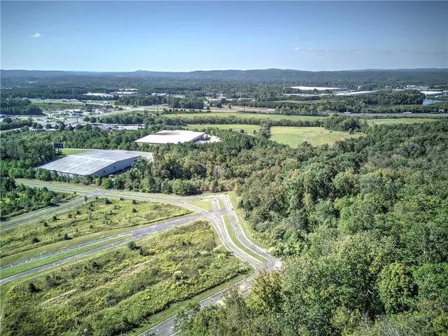 a view of a lush green field with lots of bushes