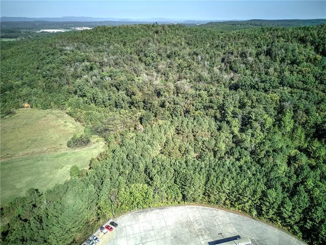 a view of a yard with a sink