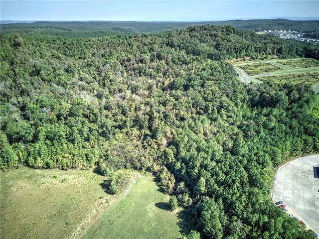 a view of a lush green field with lots of bushes