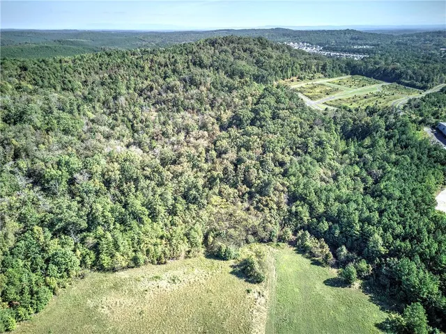a view of a big yard with lots of bushes