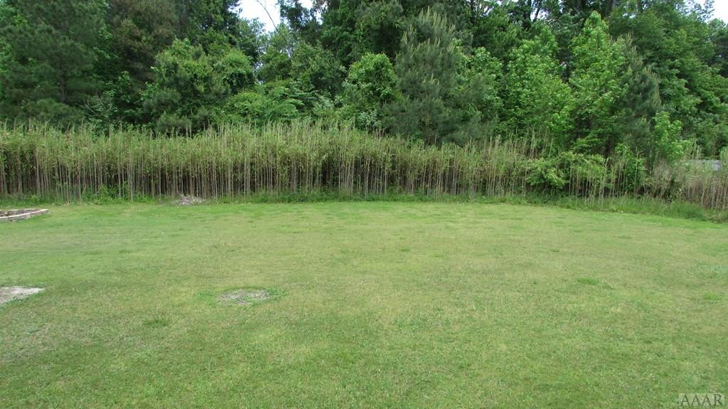 346 Green View Road Moyock, NC 27958 - Photo 29 of 29 Back yard