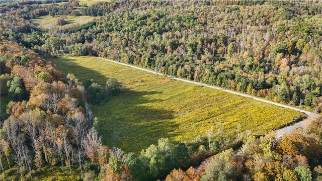 $99,900 | Melnyk Road, Berkshire, NY 13736