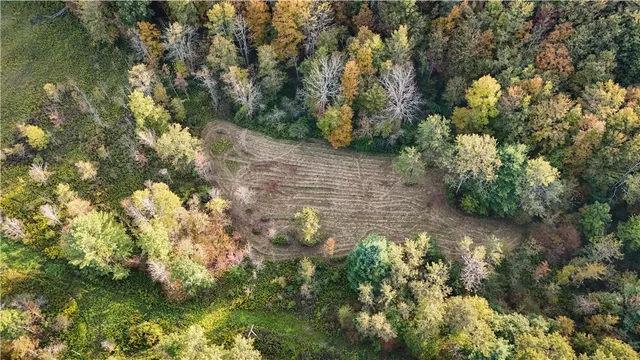 $99,900 | Melnyk Road, Berkshire, NY 13736