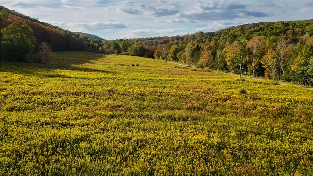 $99,900 | Melnyk Road, Berkshire, NY 13736