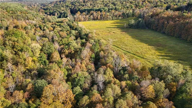 $99,900 | Melnyk Road, Berkshire, NY 13736