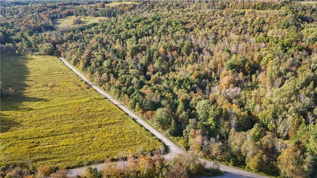 $99,900 | Melnyk Road, Berkshire, NY 13736