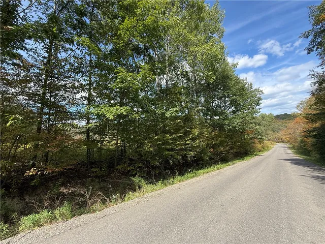 $99,900 | Melnyk Road, Berkshire, NY 13736