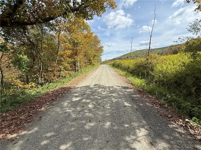 $99,900 | Melnyk Road, Berkshire, NY 13736