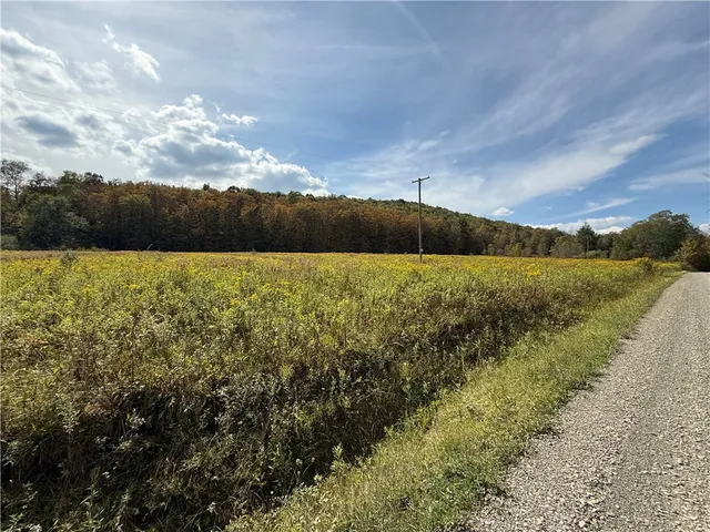 $99,900 | Melnyk Road, Berkshire, NY 13736