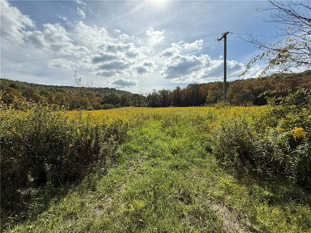 $99,900 | Melnyk Road, Berkshire, NY 13736