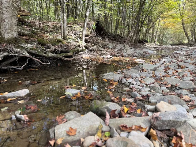 $99,900 | Melnyk Road, Berkshire, NY 13736