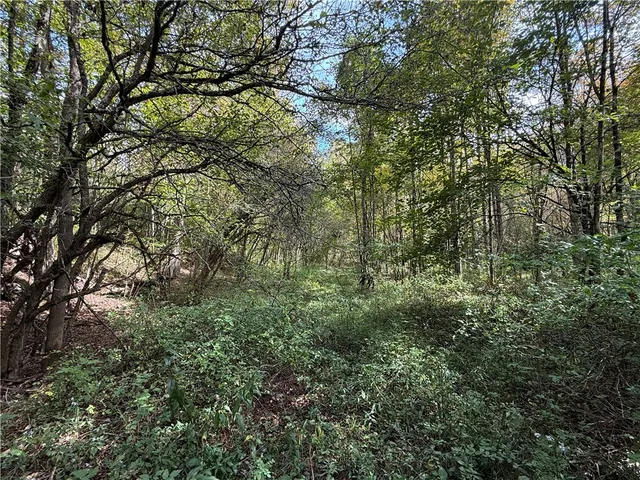 $99,900 | Melnyk Road, Berkshire, NY 13736