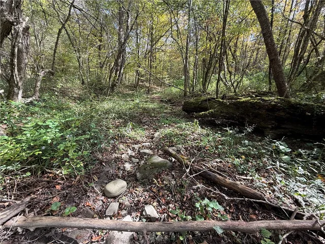 $99,900 | Melnyk Road, Berkshire, NY 13736