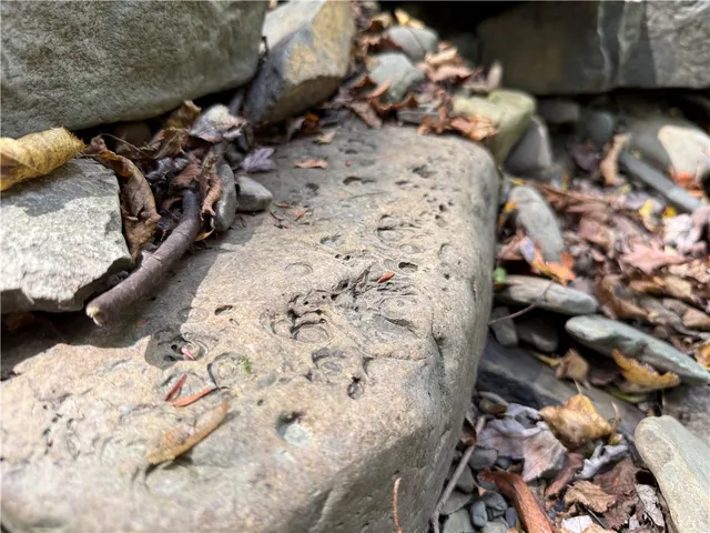 $99,900 | Melnyk Road, Berkshire, NY 13736