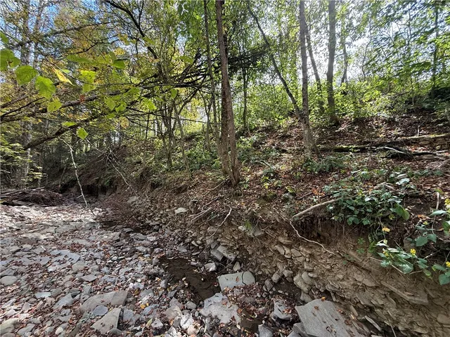 $99,900 | Melnyk Road, Berkshire, NY 13736