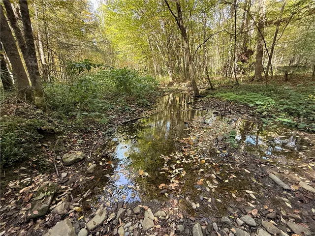 $99,900 | Melnyk Road, Berkshire, NY 13736