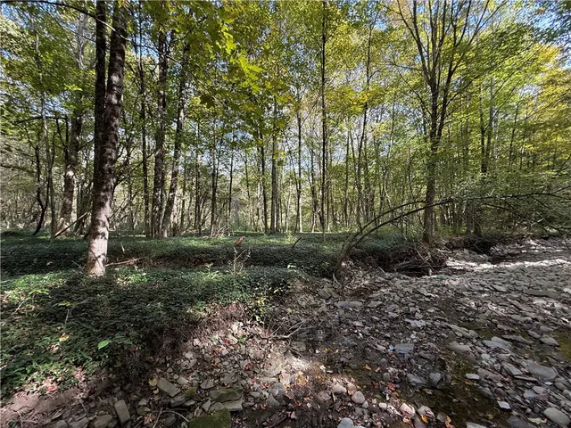 $99,900 | Melnyk Road, Berkshire, NY 13736