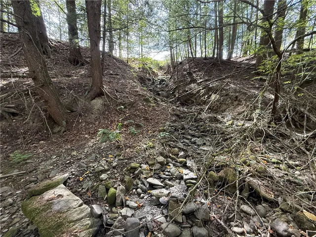 $99,900 | Melnyk Road, Berkshire, NY 13736