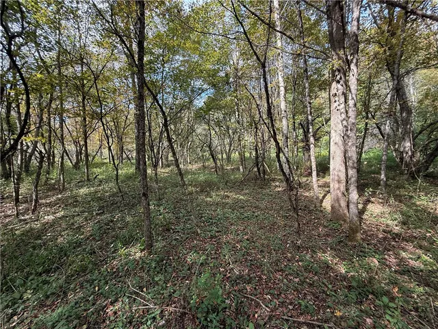 $99,900 | Melnyk Road, Berkshire, NY 13736