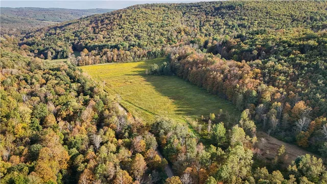 $99,900 | Melnyk Road, Berkshire, NY 13736