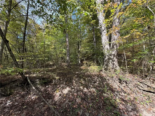 $99,900 | Melnyk Road, Berkshire, NY 13736