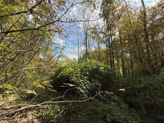 $99,900 | Melnyk Road, Berkshire, NY 13736