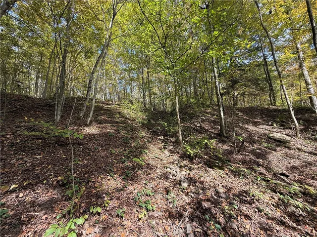 $99,900 | Melnyk Road, Berkshire, NY 13736