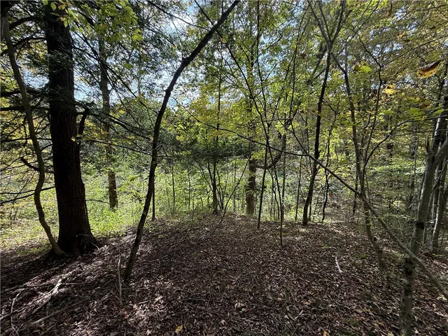 $99,900 | Melnyk Road, Berkshire, NY 13736