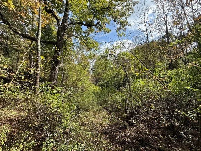 $99,900 | Melnyk Road, Berkshire, NY 13736