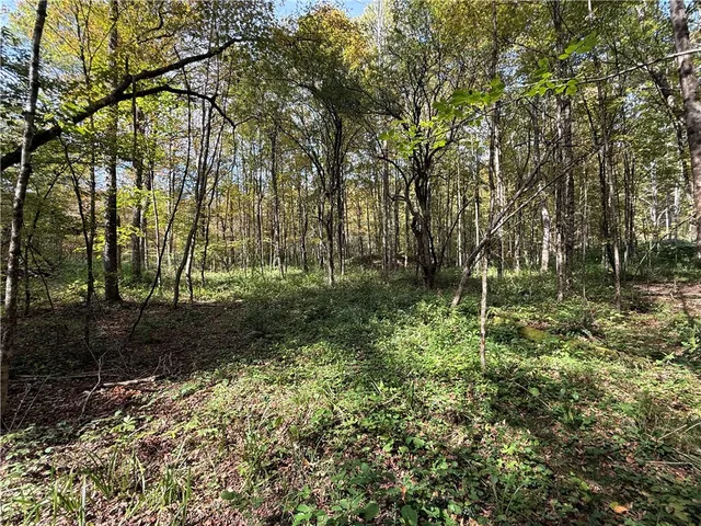 $99,900 | Melnyk Road, Berkshire, NY 13736