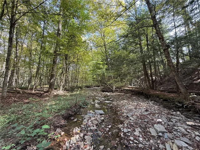 $99,900 | Melnyk Road, Berkshire, NY 13736