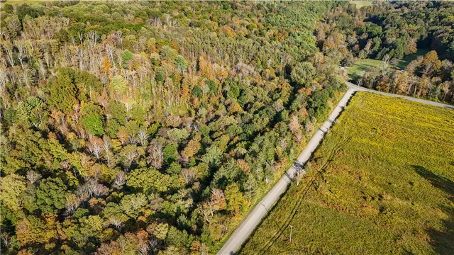 $99,900 | Melnyk Road, Berkshire, NY 13736