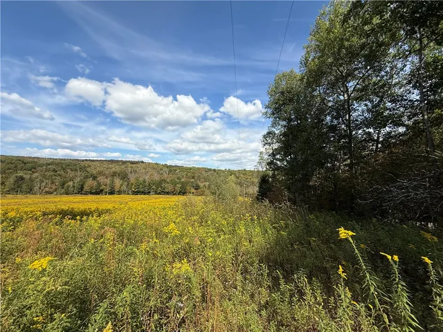 $99,900 | Melnyk Road, Berkshire, NY 13736