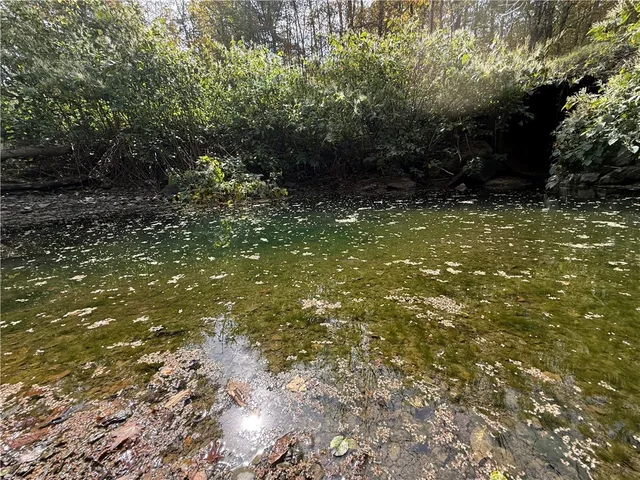 $99,900 | Melnyk Road, Berkshire, NY 13736