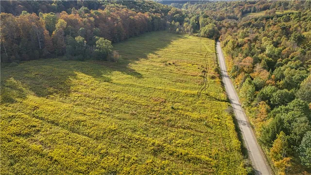 $99,900 | Melnyk Road, Berkshire, NY 13736