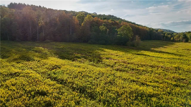 $99,900 | Melnyk Road, Berkshire, NY 13736