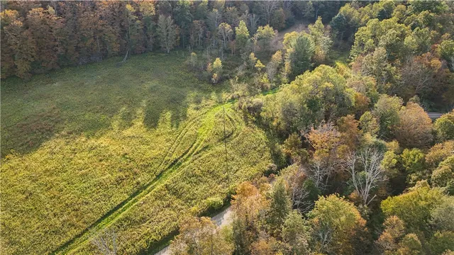 $99,900 | Melnyk Road, Berkshire, NY 13736