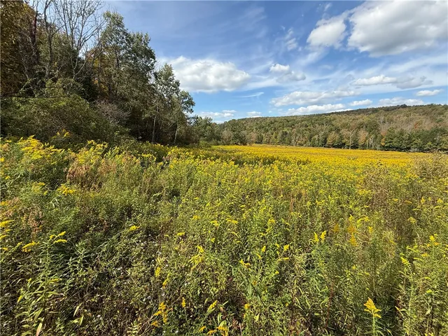 $99,900 | Melnyk Road, Berkshire, NY 13736