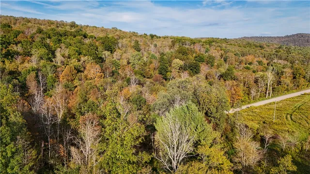 $99,900 | Melnyk Road, Berkshire, NY 13736