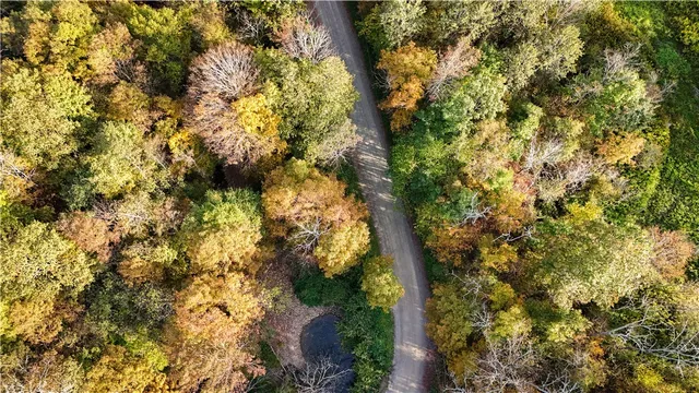 $99,900 | Melnyk Road, Berkshire, NY 13736