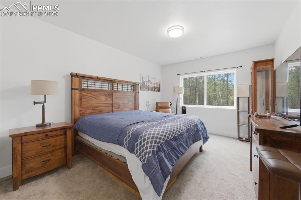 294 Southpark Road Florissant, CO 80816 - Photo 20 of 30